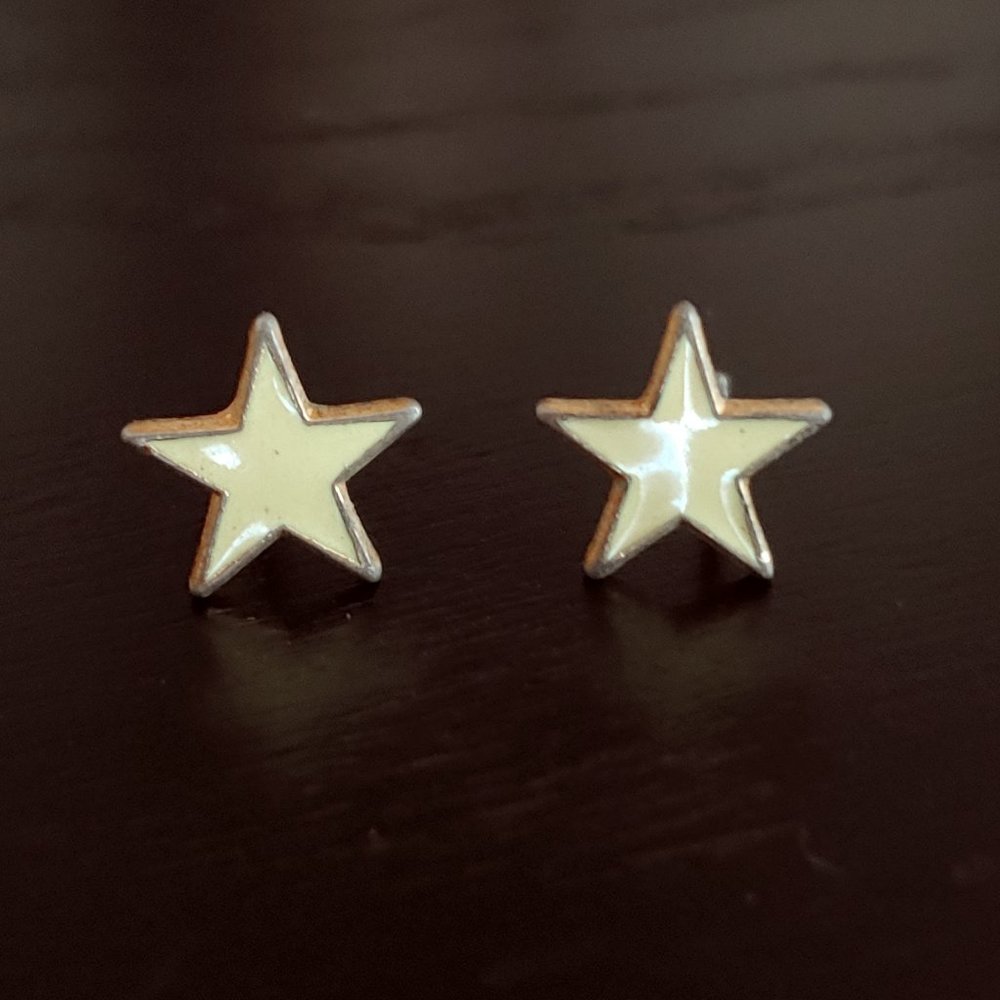 Vintage Enamel Earrings